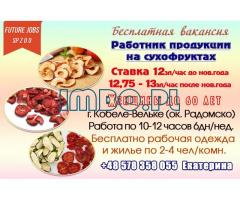 Работник продукции на производстве сухофруктов